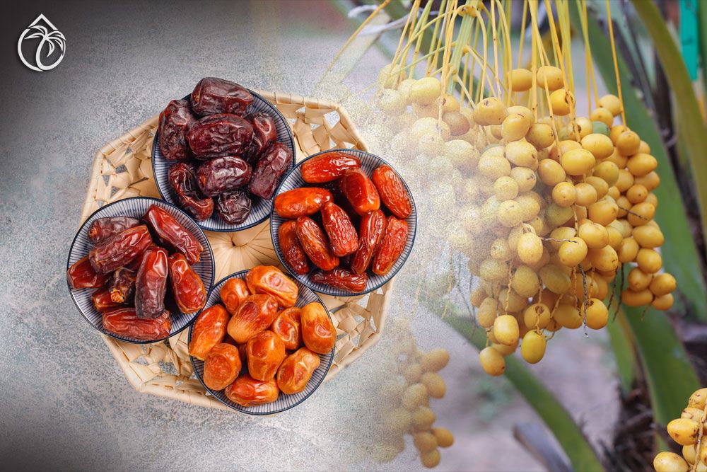 Dates Production and packing